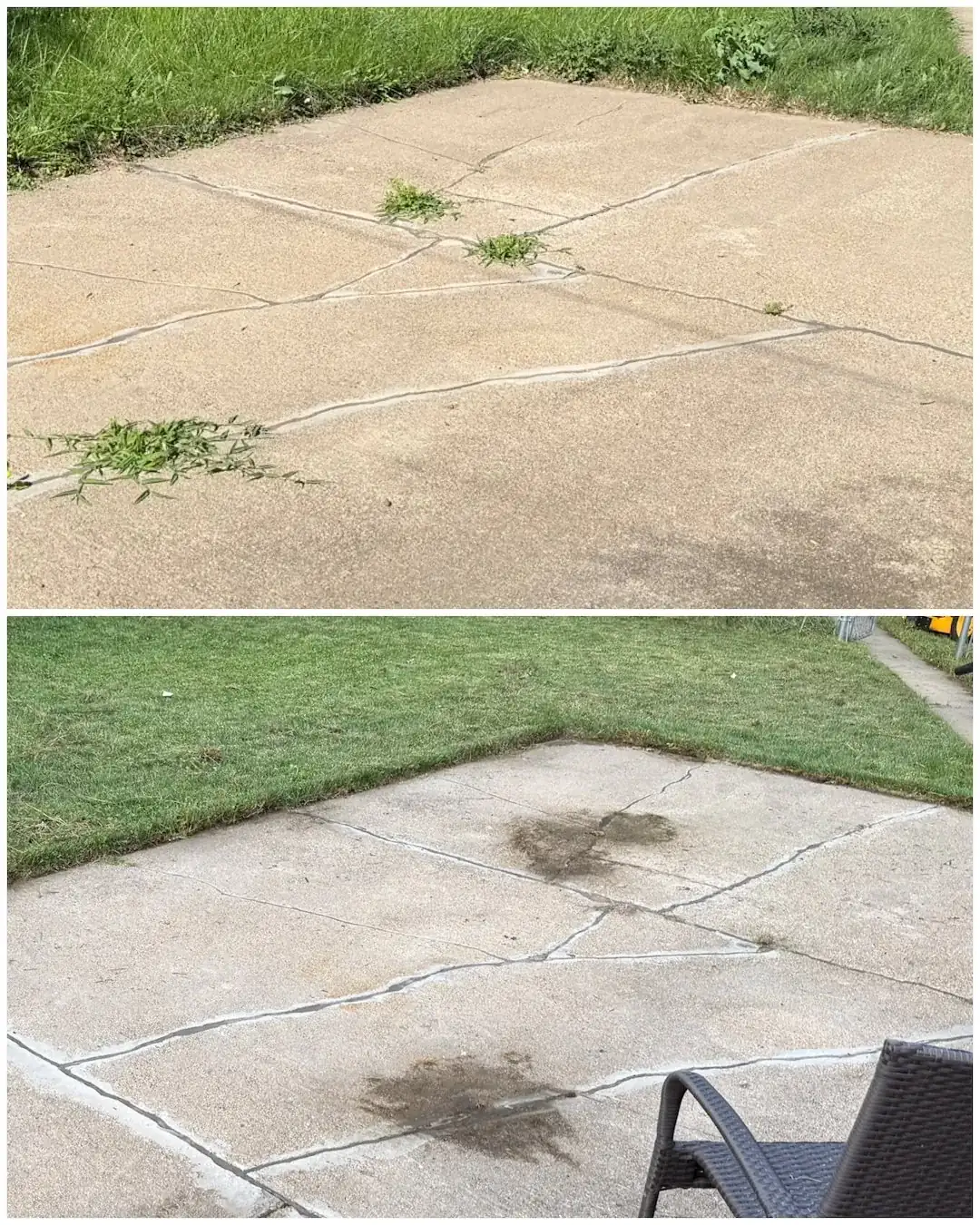 Bellevue Yard Cleanup