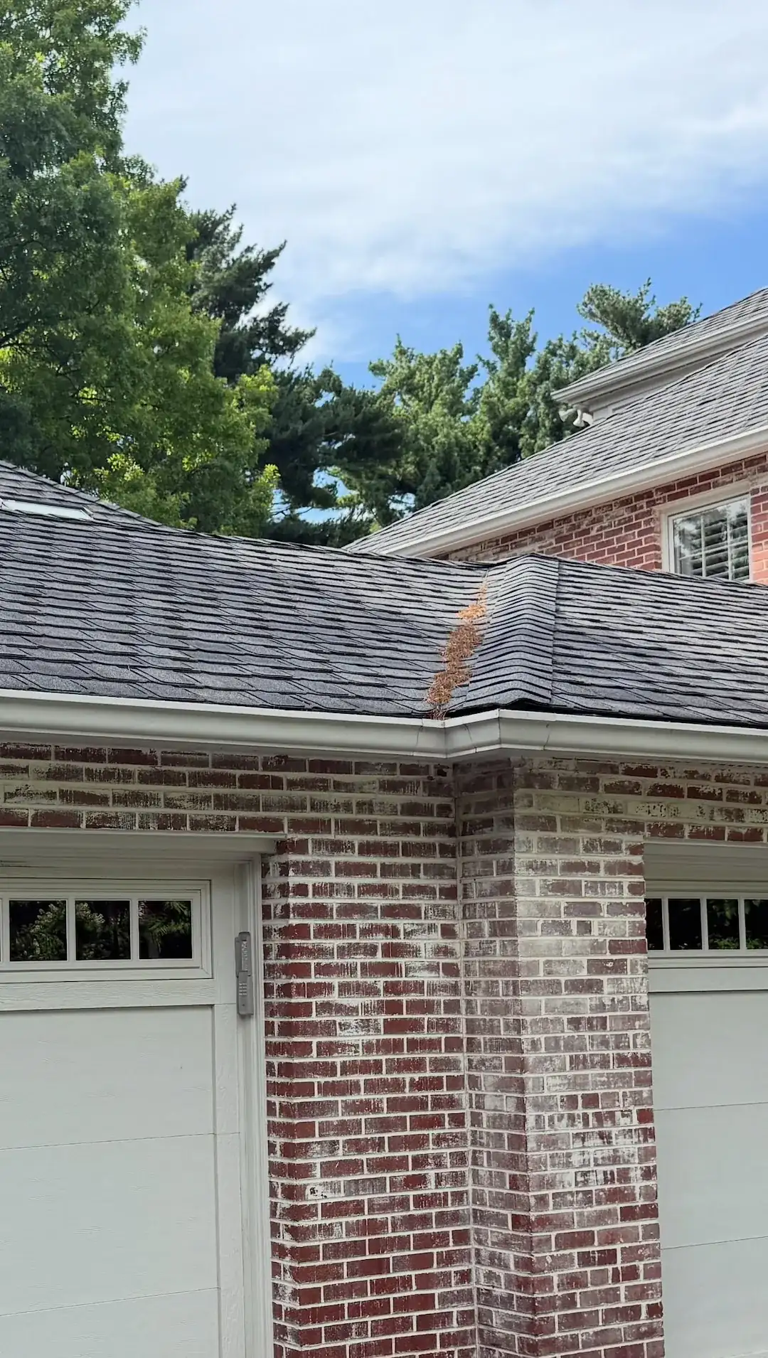 Clogged gutter along a brick home