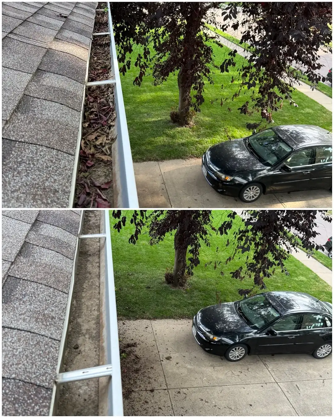 Papillion Gutter Cleaning