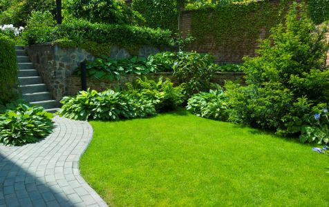 How to Keep Your Lawn Green During Hot Nebraska Summers