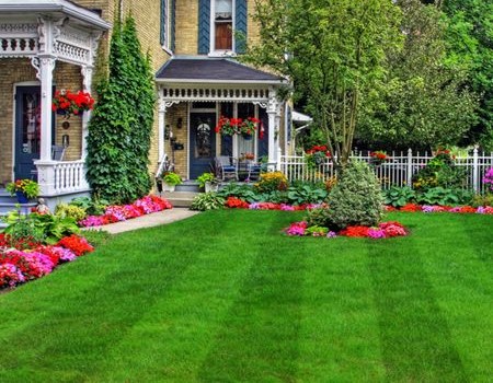 How Regular Lawn Maintenance Saves You Thousands in the Long Run