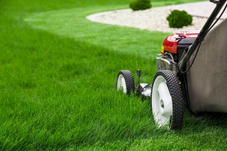 Top 5 Lawn Care Mistakes Nebraska Homeowners Make in Summer