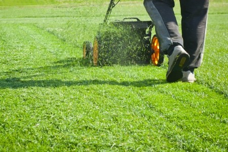 Lawn Care